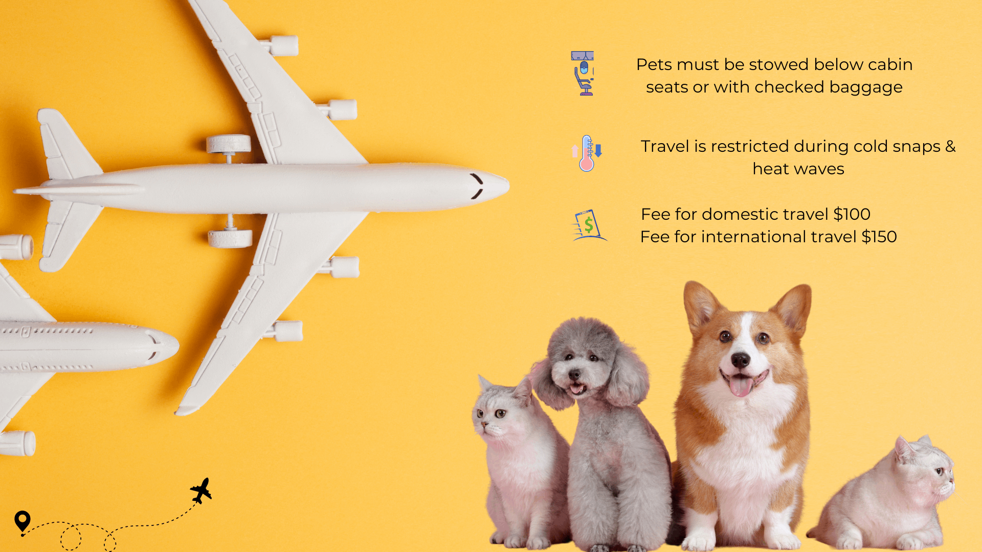 Alaska airlines outlet flying with puppy