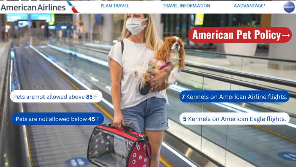 American airlines shop pet policy international