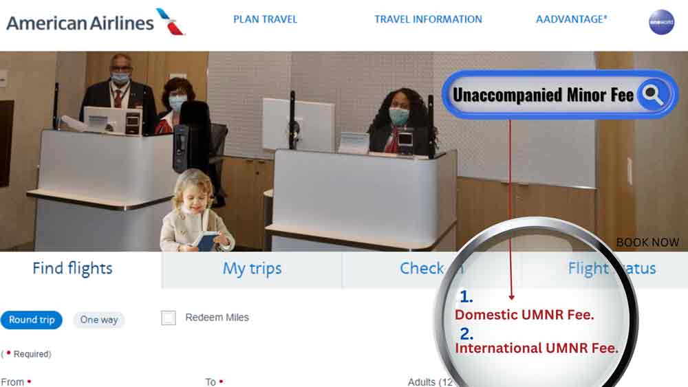 Unaccompanied Minor Fee On American Airlines