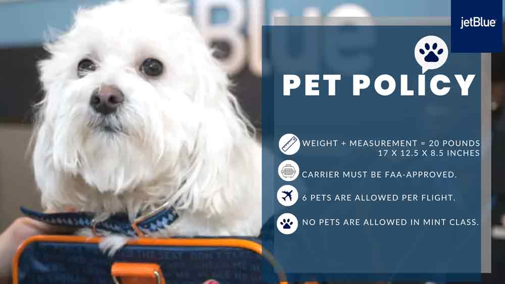 Pet Rules & Regulations