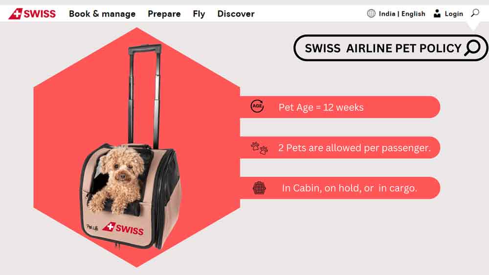 swiss airlines Pet Policy