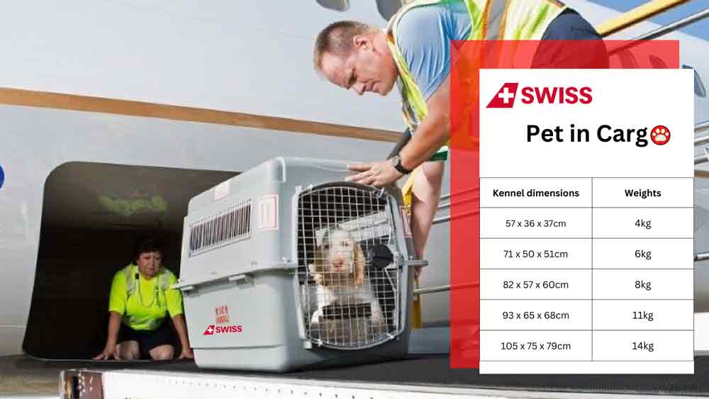 Swiss 2024 airlines pets