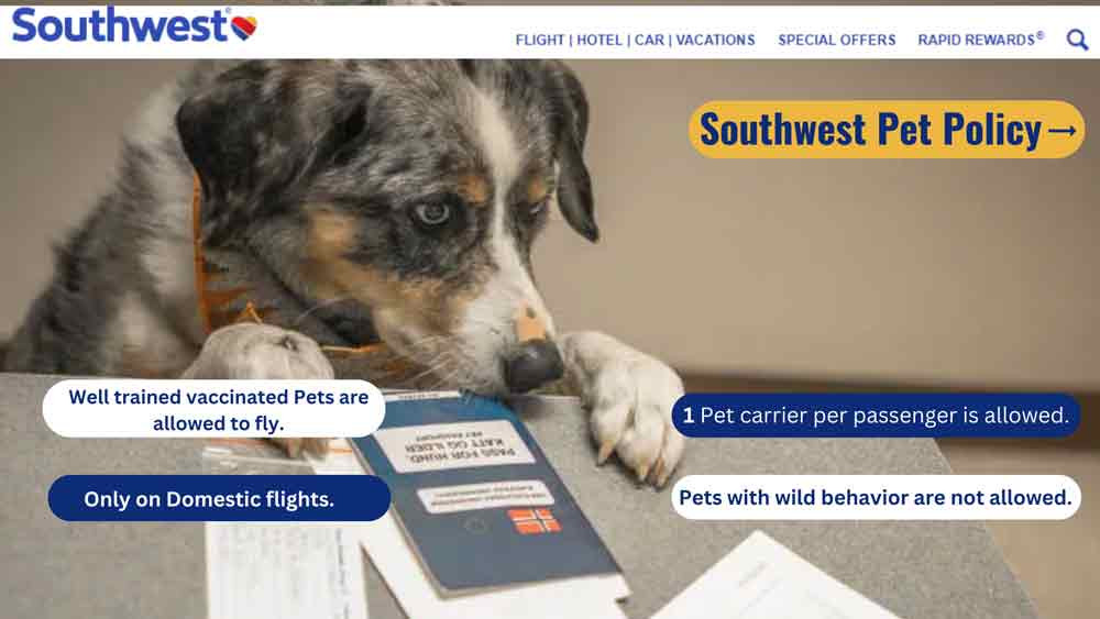 Southwest Airlines Pet Policy +1 8885650250 Cabin & Cargo