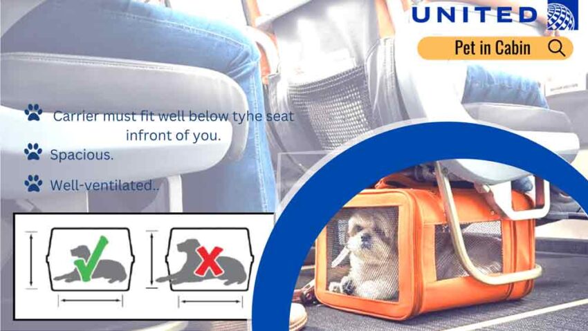 United Airlines Pet Policy +1 888-565-0250 | In Cabin &amp; Cargo