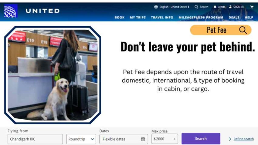 United Airlines Pet Policy +1 888-565-0250 | In Cabin & Cargo