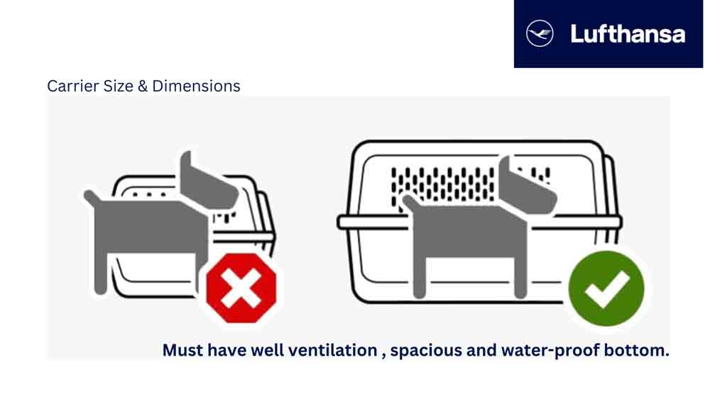 Transporting an animal in cheap the passenger cabin lufthansa form