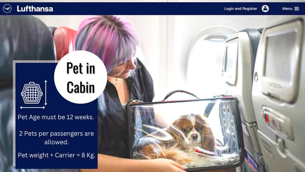 Transporting an animal in the passenger 2025 cabin lufthansa form