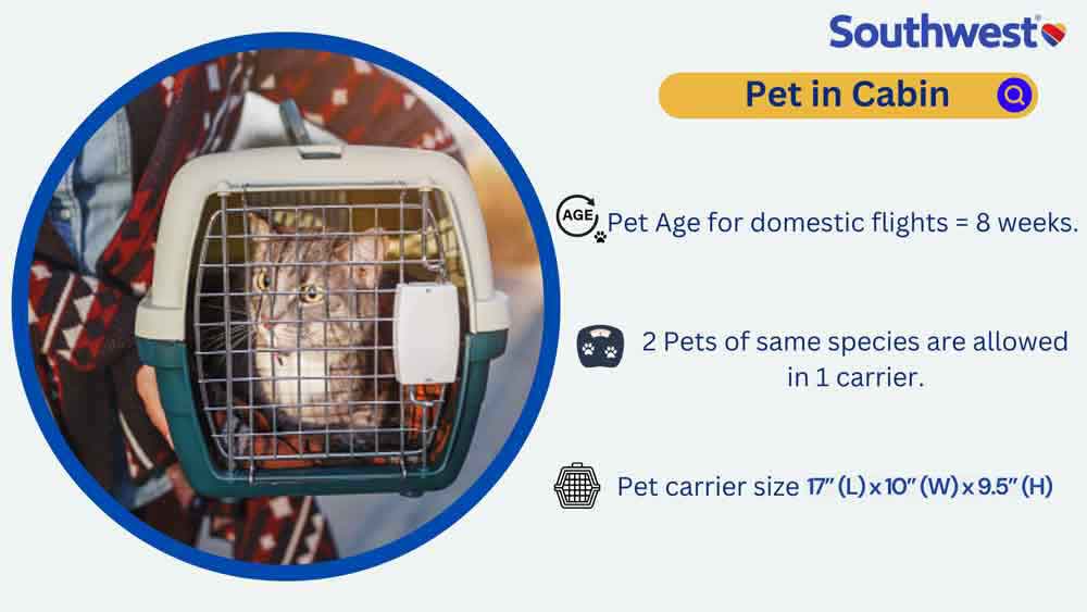 pet carrier requirement